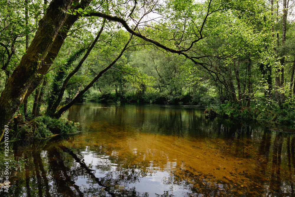 The Parga River as it passes through Guitiriz. Riverside forest. Atlantic forest. Forest in Galicia. Path, pedestrian path. The Parga River as it passes through Guitiriz. Riverside forest. Atlantic forest. Forest in Galicia. Path, pedestrian path.