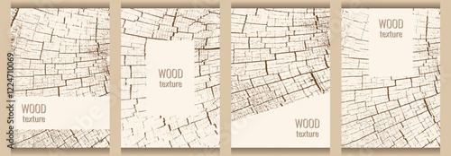 Collection of natural wooden textures. Natural eco background with tree pattern. Stamp of a tree trunk in section. Template for menu cover, brochure, flyer, book. Vector image.