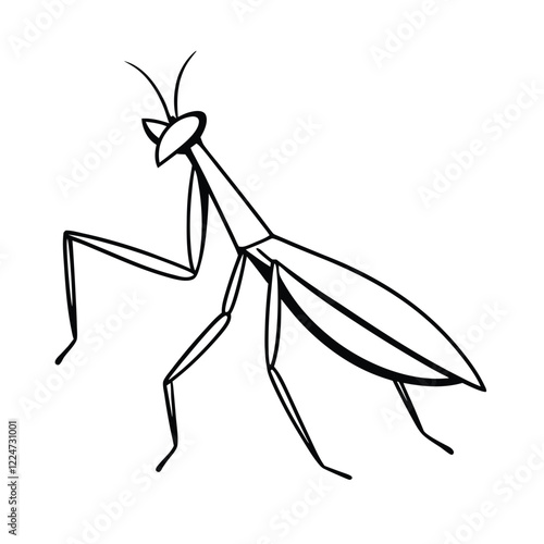  Insect line art vector illustration