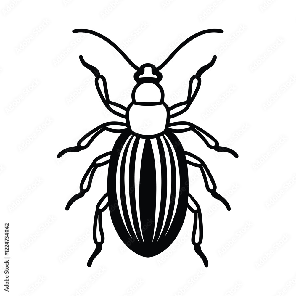 illustration of a beetle Insect line art vector illustration illustration of a beetle Insect line art vector illustration
