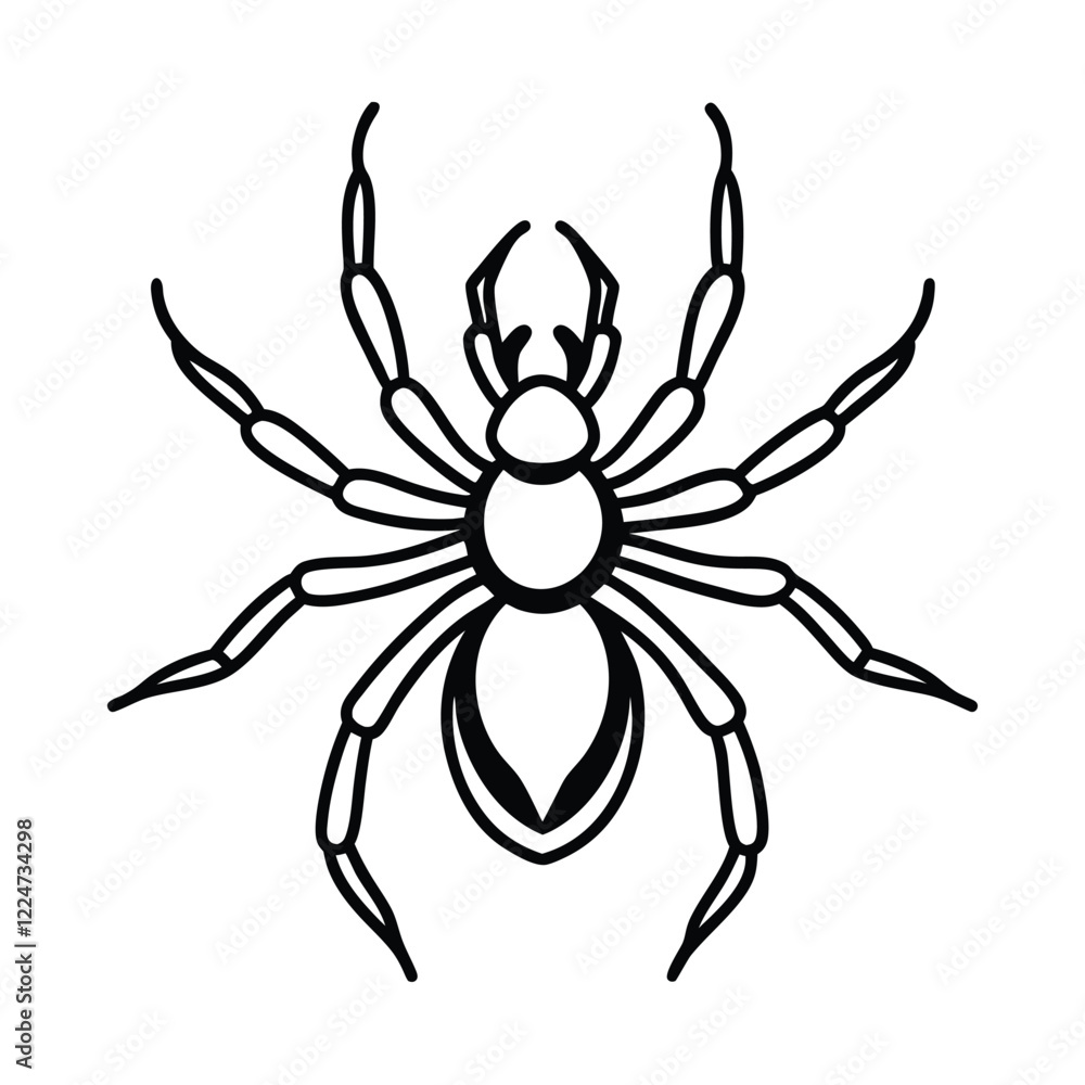 spider on a white background Insect line art vector illustration spider on a white background Insect line art vector illustration