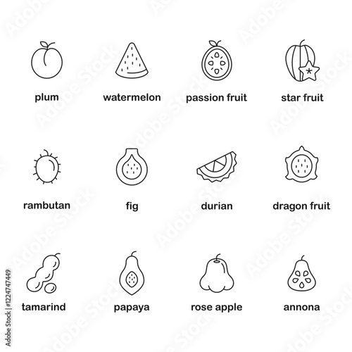Fruits - thin line web icon set. Outline icons collection. Simple vector illustration.