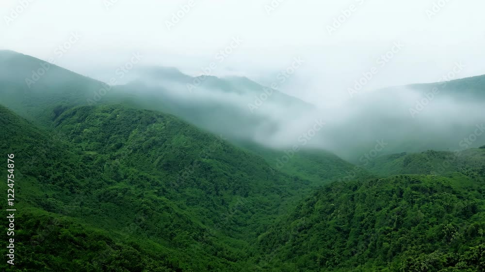 Mountain range covered in green trees Mountain range covered in green trees