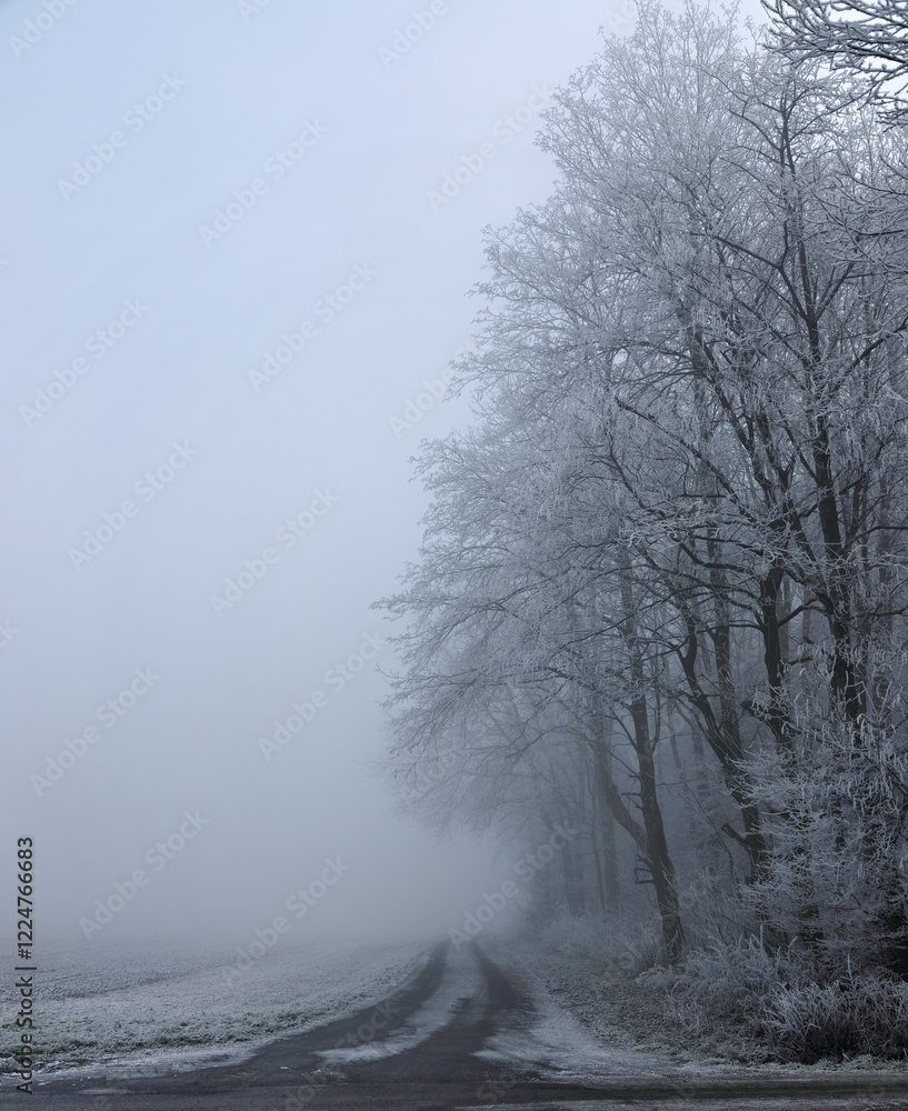 Fototapeta premium Frozen and snow-covered forest with heavy fog in Baden-Wuerttemberg