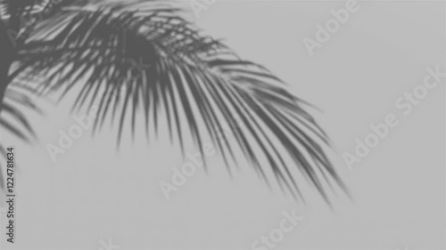 palm leaf shadow in the wind blowing overlay on white wall background wall textures, video background for Product 4k Resolution