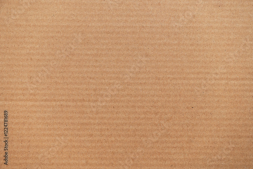 Texture of cardboard. Grunge style texture background.