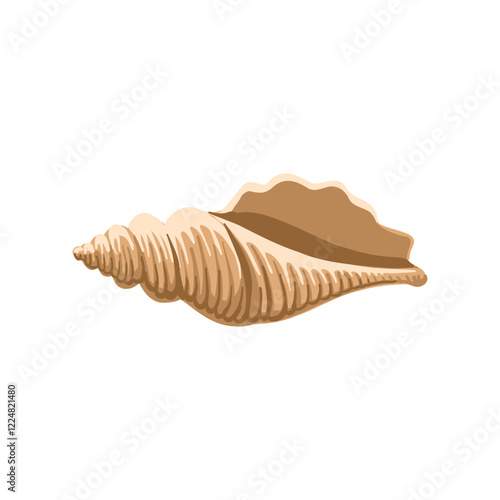 vector drawing sea shell, seashell isolated at white background, hand drawn illustration