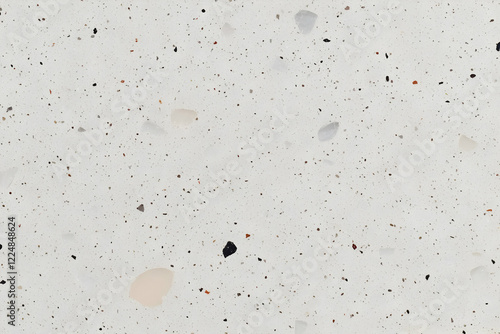 White Terrazzo Texture Disp...