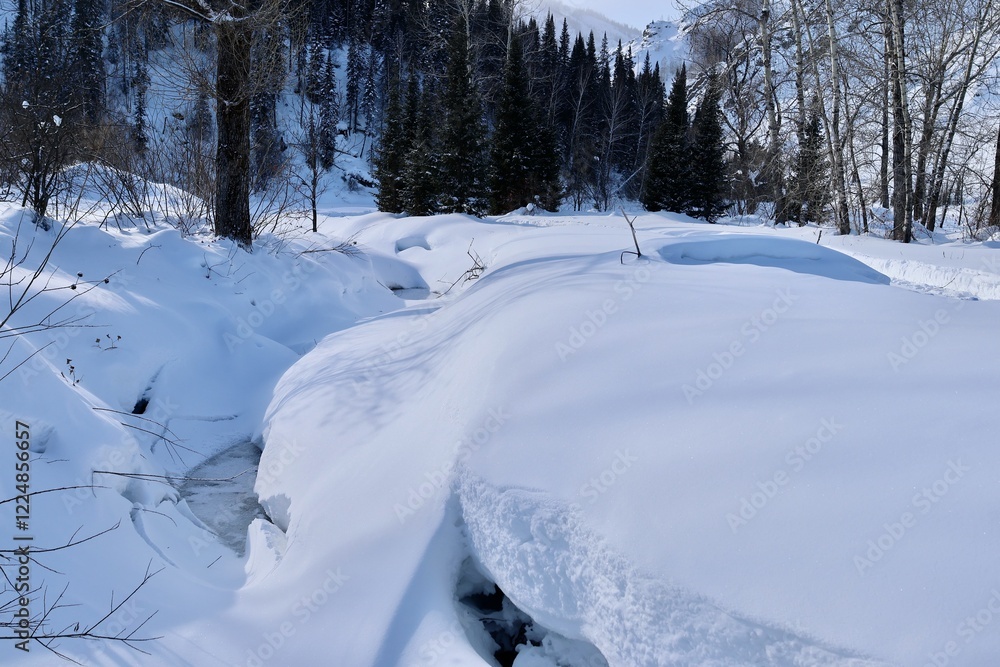 A frozen stream in a winter forest in the mountains A frozen stream in a winter forest in the mountains