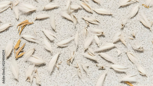 White and Tan Plant Seeds S...