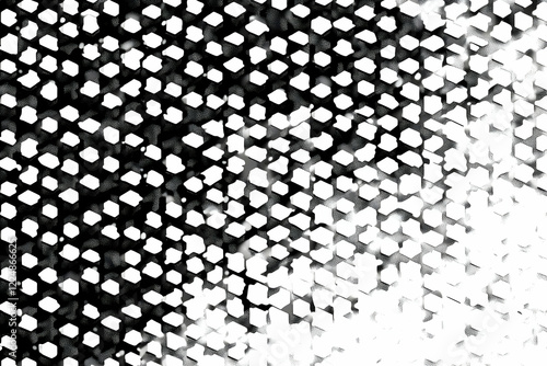 Abstract black and white ho...