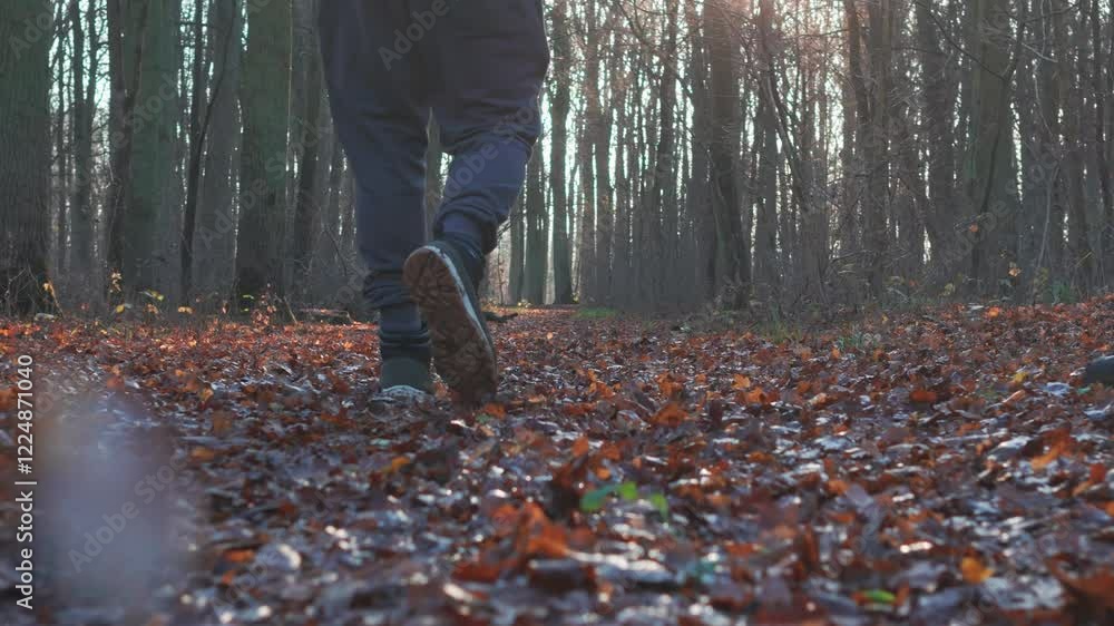 A misty forest scene with a man strolling at sunset, shuffling autumn leaves. Sunbeams pierce through the trees in this slow-motion shot. A misty forest scene with a man strolling at sunset, shuffling autumn leaves. Sunbeams pierce through the trees in this slow-motion shot.