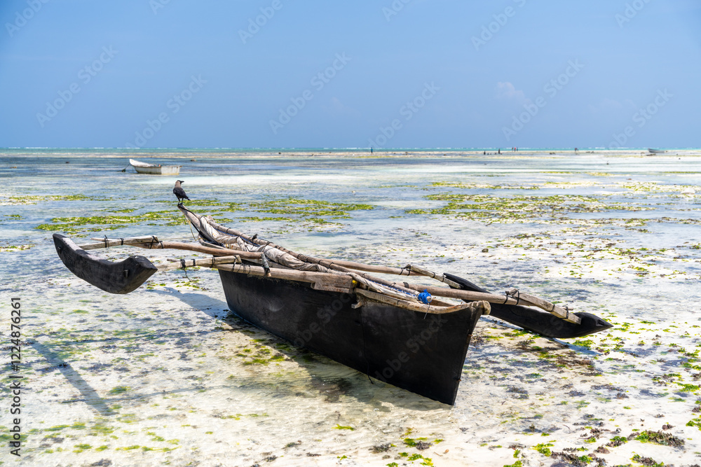Zanzibar: Fishing dhow on low tide.