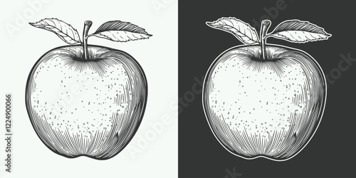 Vintage retro jand drawn engraving illustration of apple nature outdoor organic food view