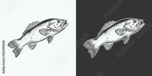 Vintage retro jand drawn engraving illustration of cod fish animal