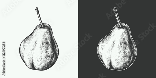 Vintage engraving gravure retro style fruit pear illustration