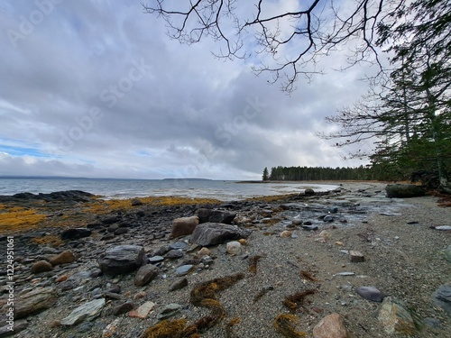 Brooklin, Maine, Usa