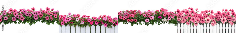 Fototapeta premium Vibrant Floral Blooms Adorning Natural Landscape with Lush Foliage