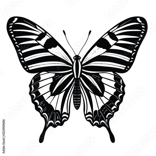 Zebra swallowtail butterfly   isolated on White background