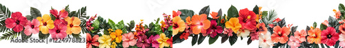 Wallpaper Mural Vibrant Tropical Floral Background with Blooming Hibiscus Flowers and Lush Foliage Torontodigital.ca