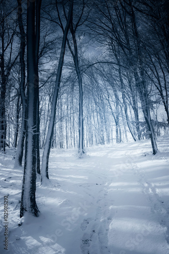 snowy forest road in winter...