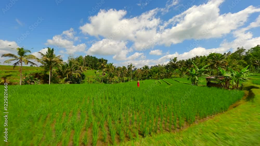 Cinematic FPV shot of woman traveler exploring beautiful rice fields in Bali, Indonesia Cinematic FPV shot of woman traveler exploring beautiful rice fields in Bali, Indonesia