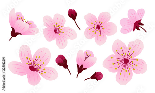 Set of sakura flowers and buds. Spring cherry bloom blossom, isolated elements. Botanical design vector illustration.