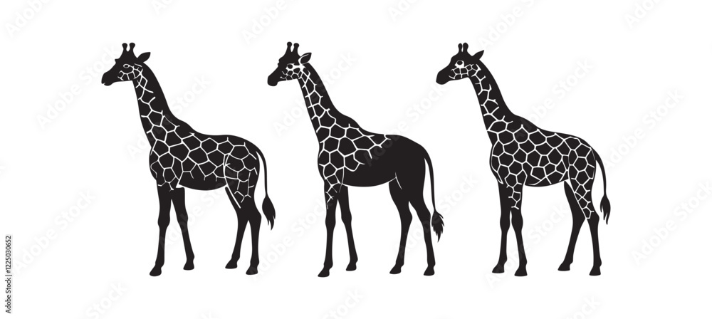 Obraz premium set of giraffe silhouette, black and white silhouette, vector and&nbsp;illustration