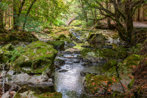 Fast rocky river flow in a rocky bed in a natural park. Early Autumn landscape. photo