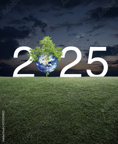 Fototapeta Naklejka Na Ścianę i Meble -  2025 white text with planet and tree on green grass field over sunset sky, Happy new year 2025 ecological cover, Save the earth concept, Elements of this image furnished by NASA