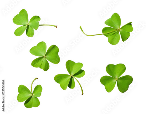 four leaf clover vector illustration