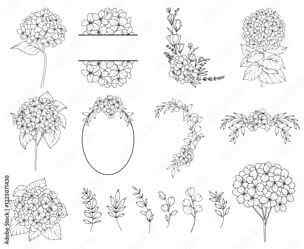 Collection of Hydrangea flowers, branches and frames, hand drawn botanical line drawing, vector floral line art illustration for wedding, logo, advertising, packaging
