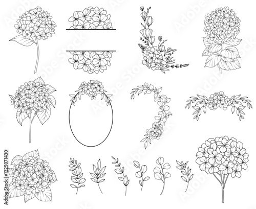 Obraz na płótnie Collection of Hydrangea flowers, branches and frames, hand drawn botanical line drawing, vector floral line art illustration for wedding, logo, advertising, packaging w salonie