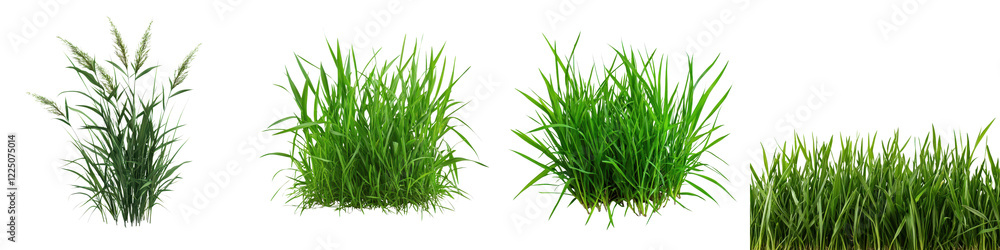 Fototapeta premium Lush Green Grass Field Landscape with Vibrant Natural Foliage Growth in Springtime