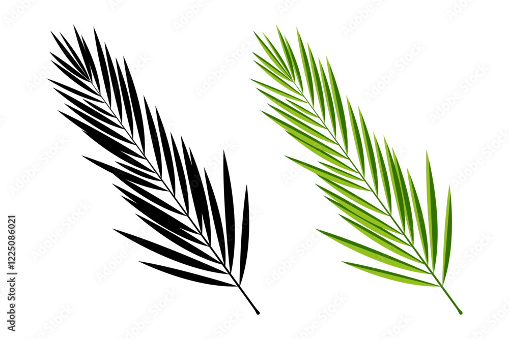 Obraz premium Tropical green palm leaves. Palm branch, isolated on white. EPS 10 contains transparency