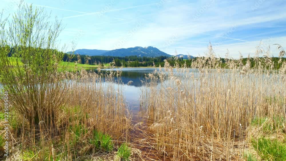 Spring in Germany: Explore Nature’s Awakening with Sunny Weather and Colorful Landscapes Spring in Germany: Explore Nature’s Awakening with Sunny Weather and Colorful Landscapes