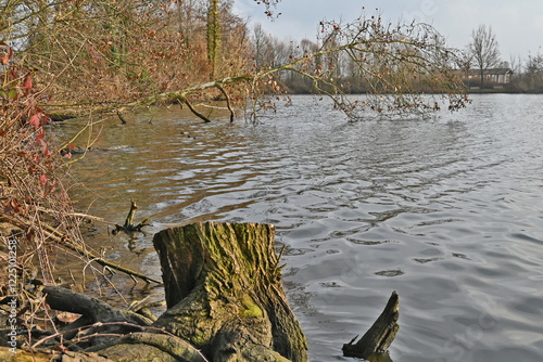 Inverno in Lombardia, campagna, giardini e bosco del lago di Basiglio photo