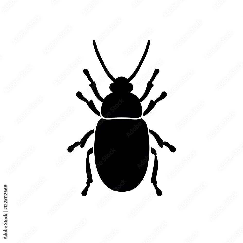 colorado potato beetle isolated on white colorado potato beetle isolated on white