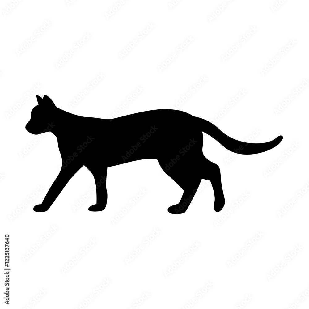 Obraz premium Cat Silhouette