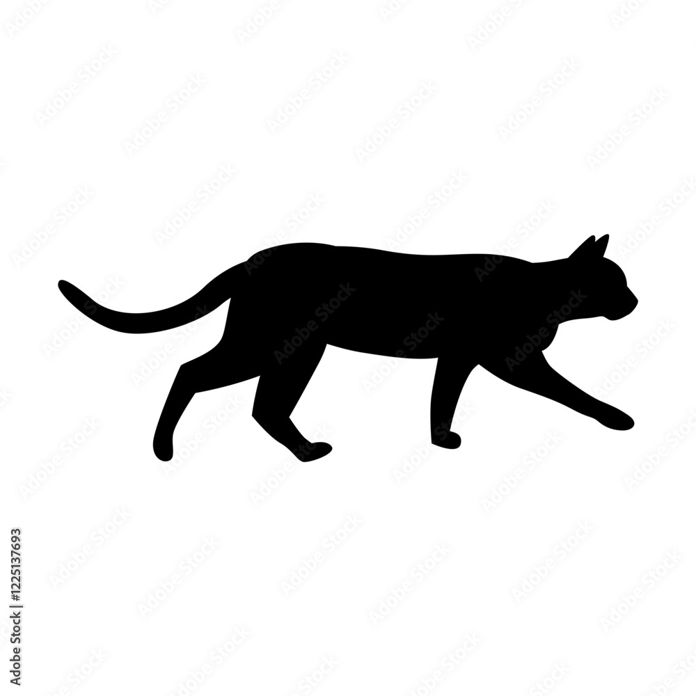 Obraz premium Cat Silhouette