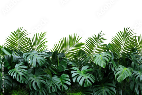 Lush green tropical leaves create a vibrant, natural backdrop.