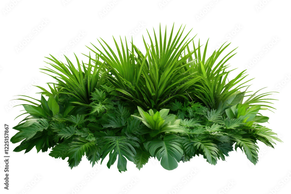 Fototapeta premium A lush arrangement of tropical plants, ideal for decoration or landscaping purposes.