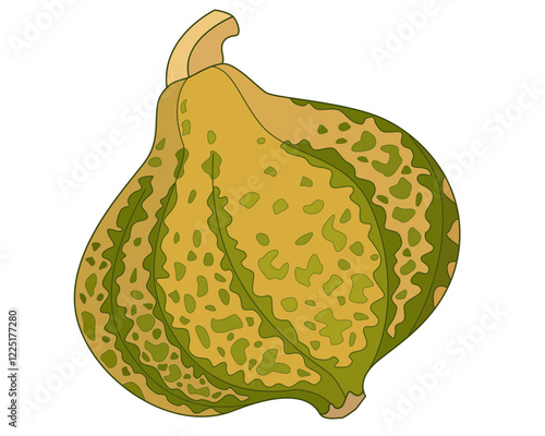 Pumpkin motley spotted vegetable - vector full color picture. The pumpkin fruit with picturesque spots is a vegetable healthy food.	