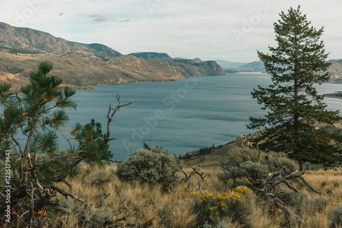 Kamloops desert, Canada