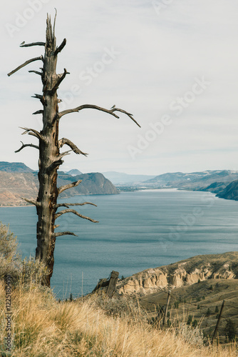 Kamloops desert, Canada
