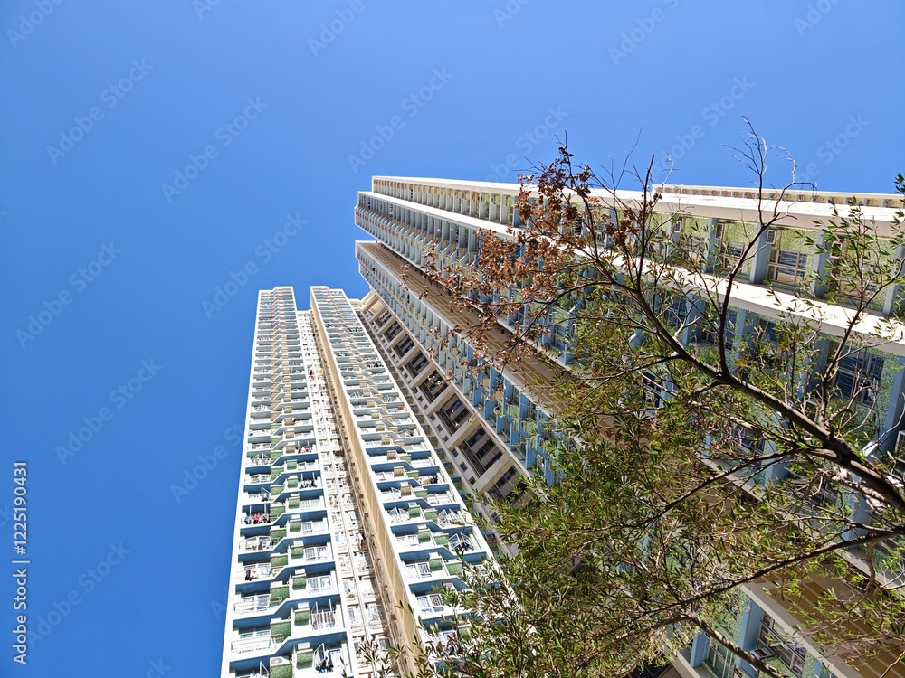 Fototapeta premium Low-angle view of two towering residential buildings against a clear blue sky in Tseung Kwan O, Hong Kong, China. A small tree is visible in the foreground.