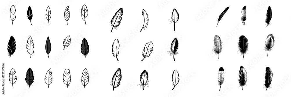 A hand-drawn illustration of a set of bird feathers, converted to a modern style with an outline on a transparent background A hand-drawn illustration of a set of bird feathers, converted to a modern style with an outline on a transparent background