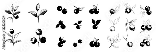 Black and white engraved ink art showcasing modern blueberries and leaves, presented as an isolated blueberry illustration element