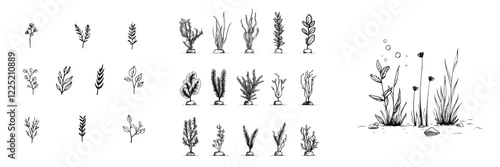 Seaweed doodle outline set for modern use. Ideal for logos, icons, greeting cards, or tattoos. Presented on a white background