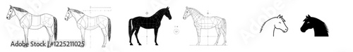 An isolated contemporary image of a horse against a white backdrop